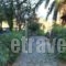 Hotel Orama_travel_packages_in_Central Greece_Evia_Limni