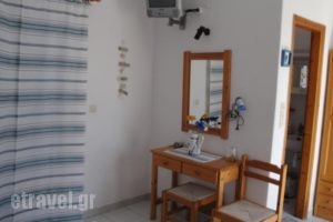 Alfa Rooms_best prices_in_Room_Cyclades Islands_Paros_Naousa
