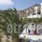 Ariston Apartments_best prices_in_Apartment_Cyclades Islands_Serifos_Serifos Rest Areas