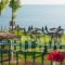 Zarkadis Beach Apartments_holidays_in_Apartment_Ionian Islands_Zakinthos_Zakinthos Rest Areas