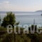 Azalea Studios_holidays_in_Apartment_Sporades Islands_Skiathos_Skiathos Chora