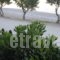Almirikia Apartments_holidays_in_Room_Central Greece_Evia_Kymi