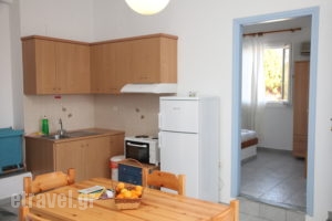Agnadi Syros_lowest prices_in_Apartment_Cyclades Islands_Syros_Syrosst Areas