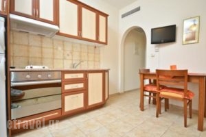 Anthi Studios_best prices_in_Apartment_Cyclades Islands_Naxos_Agia Anna