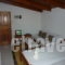 Chios Town Studios_best prices_in_Room_Aegean Islands_Chios_Chios Chora