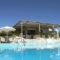 Eriphilly Studios & Apartments_accommodation_in_Apartment_Aegean Islands_Lesvos_Mythimna (Molyvos)