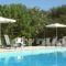 Eriphilly Studios & Apartments_best prices_in_Apartment_Aegean Islands_Lesvos_Mythimna (Molyvos)
