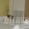 Armonia_lowest prices_in_Hotel_Macedonia_Halkidiki_Nea Moudania
