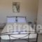 Kalliope Apartments_lowest prices_in_Room_Ionian Islands_Lefkada_Lefkada Chora