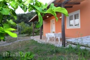 Eros Amalia_best deals_Hotel_Ionian Islands_Corfu_Corfu Rest Areas