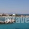 Yianna Hotel_best deals_Hotel_Piraeus islands - Trizonia_Agistri_Agistri Rest Areas