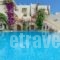 Hotel Proteas_accommodation_in_Hotel_Cyclades Islands_Naxos_Agios Prokopios