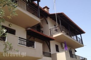Studios Voula_best prices_in_Hotel_Macedonia_Halkidiki_Chalkidiki Area