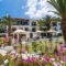 Panormos Beach_holidays_in_Hotel_Sporades Islands_Skopelos_Panormos