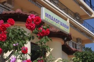 Balogiannis Hotel_holidays_in_Hotel_Macedonia_Pieria_Dion