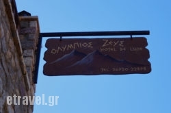 Olympios Zeus Hotel hollidays