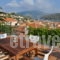 Elea Apartments_best prices_in_Apartment_Ionian Islands_Ithaki_Ithaki Rest Areas