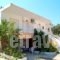 Kalypso Studios_best prices_in_Apartment_Ionian Islands_Corfu_Kavos