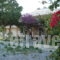 Athina_best deals_Room_Crete_Rethymnon_Rethymnon City