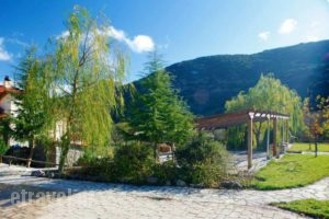 Mousses_travel_packages_in_Peloponesse_Achaia_Kalavryta