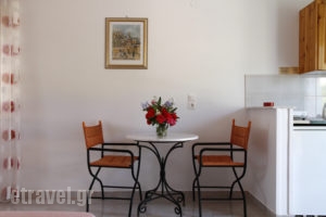Fexulis Studios_holidays_in_Room_Ionian Islands_Zakinthos_Zakinthos Rest Areas