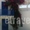 Meltemi_travel_packages_in_Cyclades Islands_Folegandros_Folegandros Chora