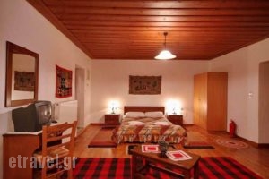Xenonas Andreas Sofis_best deals_Apartment_Peloponesse_Arcadia_Dimitsana