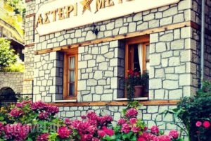 Asterimetsovou_accommodation_in_Hotel_Epirus_Ioannina_Metsovo