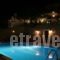 Hotel Vrionis_best deals_Hotel_Thessaly_Magnesia_Mouresi