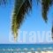 Hotel Kamari Beach_travel_packages_in_Aegean Islands_Thasos_Thasos Chora