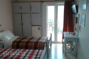 Holidays Pension_accommodation_in_Room_Ionian Islands_Lefkada_Vasiliki