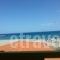 Orange Fodele_travel_packages_in_Crete_Heraklion_Aghia Pelagia