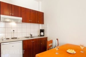 Artemis Apartments_best prices_in_Apartment_Crete_Chania_Stalos