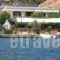 Studios Alexandra_holidays_in_Hotel_Sporades Islands_Skopelos_Skopelos Chora