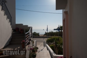 Studios Alcioni_holidays_in_Apartment_Cyclades Islands_Andros_Andros Chora