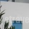 Studios Parian Blu_travel_packages_in_Cyclades Islands_Antiparos_Antiparos Chora