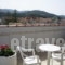 Blue Paradise Studios_best prices_in_Apartment_Ionian Islands_Kefalonia_Argostoli