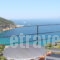 Sea View_best deals_Apartment_Sporades Islands_Skopelos_Skopelos Chora