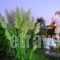 Anthonas Apartments_holidays_in_Apartment_Cyclades Islands_Sandorini_Sandorini Chora