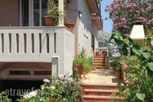 Irenes View Apartments_accommodation_in_Apartment_Aegean Islands_Chios_Vrondados