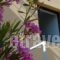 Domenica Apartments_best deals_Apartment_Crete_Rethymnon_Rethymnon City