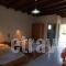 Ledakis Studios_best prices_in_Hotel_Crete_Chania_Sfakia