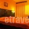 Panorama Hotel_best prices_in_Hotel_Dodekanessos Islands_Karpathos_Karpathos Chora