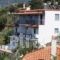 Sea View_lowest prices_in_Apartment_Sporades Islands_Skopelos_Skopelos Chora
