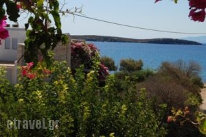 Kelly'S_lowest prices_in_Hotel_Cyclades Islands_Antiparos_Antiparos Chora