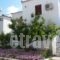 Studios Calvinos_holidays_in_Hotel_Aegean Islands_Samos_Marathokambos