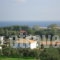 Valentino Villas & Apartments_lowest prices_in_Villa_Ionian Islands_Zakinthos_Zakinthos Rest Areas