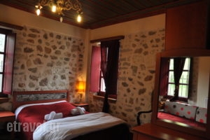 Xenonas Casa La Noi_accommodation_in_Room_Epirus_Ioannina_Sirako