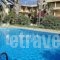 Minoas Hotel_lowest prices_in_Hotel_Crete_Heraklion_Stalida