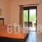 Golden Sunrise Apartments_best prices_in_Apartment_Aegean Islands_Thasos_Thasos Chora